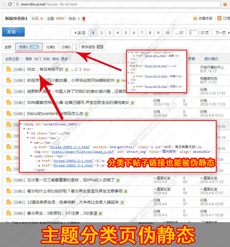 discuzSEO主题分类伪静态截图1