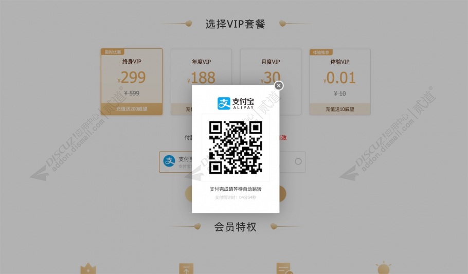 discuzHL购买VIP用户组截图5