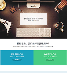 企业官网/项目介绍