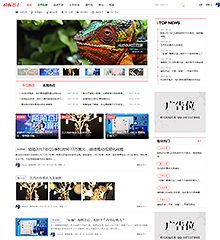 门户/新媒体+手机版
