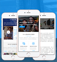 企业公司产品手机版