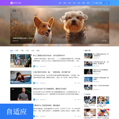 wp经典图文主题