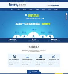 公司企业_营销策划